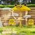 AIYAPLAY Kindersitzgruppe mit Sonnenschirm und Klappstühlen, gelb (3E3-007V00YL)