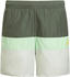 Adidas Badeshorts Yb Cb Shorts (HM2084-000) greoxi/lingrn