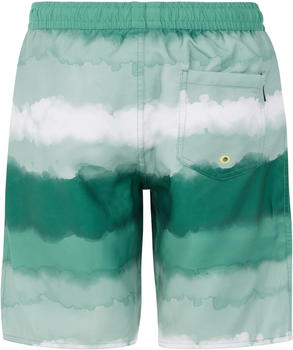 Protest Prtabel Jr Long Swim Shorts (2810443) frosty green