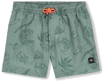 O'Neill Kinder Mix and Match Cali Print 13'' Badehose (4800070) green vintage surfer
