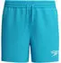 Speedo Essential 13