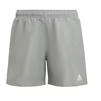 Adidas Classic Badge of Sport Badeshorts (IC4721) silver green/white