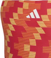 adidas Sportswear Badeanzug FB AOP ST GY 170