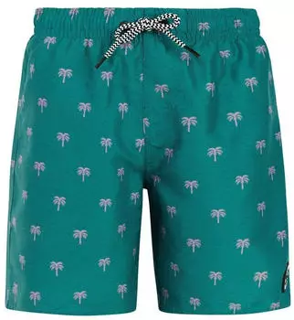 Protest Calvin Badeshorts dark teal