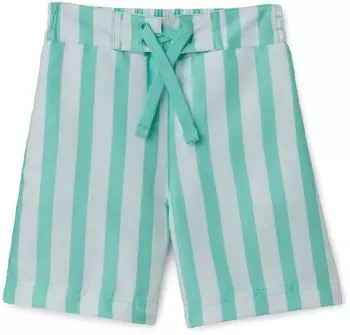 Amazon Essentials Quick-Dry Swim Shorts Regular Fit (AEBY93510_Bright Mint Green Stripe) kräftiges minzgrün streifen