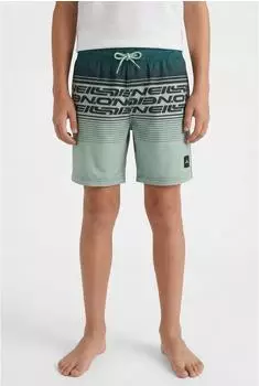 O'Neill Logo Stripe Swimshorts boys grün