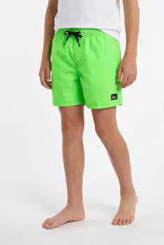 Quiksilver Everyday Volley 12" Badeshorts (EQBJV03543) green gecko