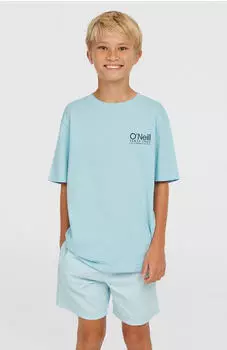 O'Neill Vert 14 Swimshorts morning glor