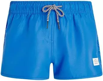 Protest Taylor Badeshorts (2919000) palace blue