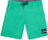 O'Neill Vert Shorts (0A3284) salina green