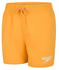 Speedo Essential 13
