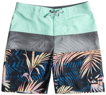 Quiksilver Everyday Panel 16 Youth Swimming Shorts green blue Boys (EQBBS03666-GCZ6)