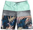 Quiksilver Everyday Panel 16 Youth Swimming Shorts green blue Boys (EQBBS03666-GCZ6)
