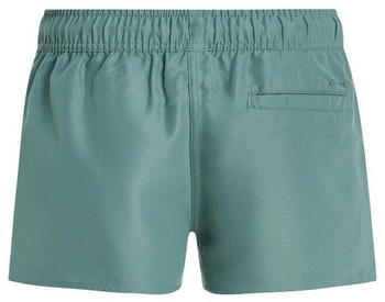 Protest Prtevi Jr Beachshort (2918900-477) laurelgreen