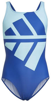 Adidas Badeanzug Yg Mh Suit (HP0710-000) royblu