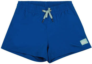 Quiksilver Everyday Volley Youth Swimming Shorts Junge (EQBJV03331-BRT0) blau