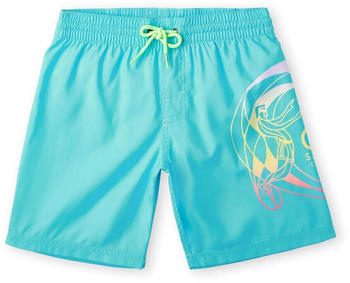 O'Neill Circle Surfer Swimming Shorts Junge (4800027-35104) blau