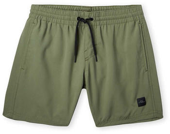 O'Neill Cali Hybrid Swimming Shorts Junge (4800038-16011) grün