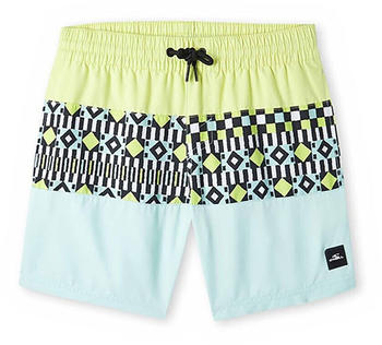 O'Neill Cali Block Swimming Shorts Junge (4800030-45043) schwarz