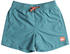 Quiksilver Everyday Volley Youth Swimming Shorts Junge (EQBJV03331-BLZ0) blau