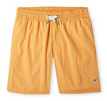 O'Neill VertBoy Swimming Shorts Junge (N4800001-1701) orange