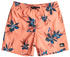 Quiksilver Everyday Mix Volley Youth Swimming Shorts Junge (EQBJV03440-MHV6) orange