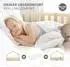 ML-Design Hausbett Kiefernholz mit Lattenrost 80x160cm (490017615)
