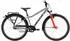 Bulls Tokee Street 26'' 7-G inner Jungen grau 2026