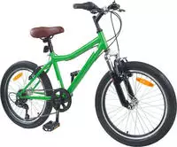 vidaXL Kinderfahrrad 20 Zoll 6-Speed f&uuml;r 6-11 Jahre alt Gr&uuml;n