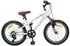 vidaXL Kids Mountain Bike 24 Zoll 6-Speed für 8-12 Jahre alt Weiß