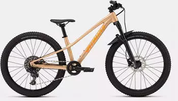 Specialized Riprock Comp 24 gloss photon tint over flake silver