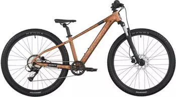 Scott Roxter 600 (2026) alloy brown