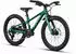 Specialized Riprock 20 (2026) gloss pine green
