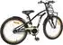 vidaXL Kinderfahrrad 20 Zoll für 6-11 Jahre alt Schwarz (42009303)