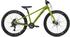 Whyte Bikes Kinderfahrrad 303 24 Zoll RH 31 cm olive