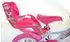 Dino Bikes 144R-UN