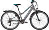 S'Cool Bike S'Cool e-troX 26-7 (dark grey matt)
