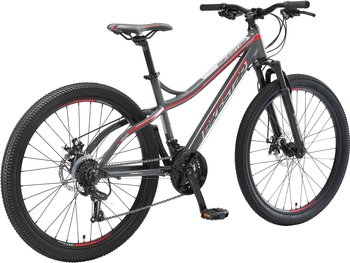 Bikestar Hardtail MTB 26'' (2021) rot/grau – Optimale Anpassung für Wachstumsschübe