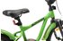 Bikestar Löwenrad Kinderfahrrad 18 grün