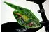 Dino Bikes Kinderfahrrad 14'' T-Rex Dinosaurier