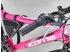 Licorne Bike Guide 26