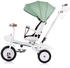 Chipolino Tricycle Futuro 2 in 1 faltbar grün