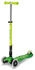 parrot green