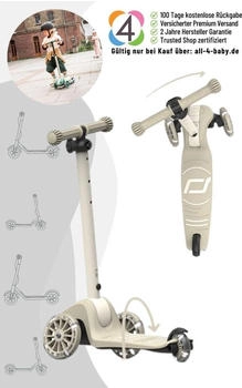 Scoot & Ride Highwaykick 3S ash