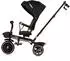 Chipolino Max Sport Dreirad 2-in-1, Sitz umkehrbar, schwarz gemustert (TRKMS02601NO)
