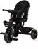 Chipolino Max Sport Dreirad 2-in-1, Sitz umkehrbar, schwarz gemustert (TRKMS02601NO)