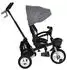 byox Flexy Lux 3-in-1 Dreirad klappbar, drehbarer Sitz, dunkelgrau (112953)