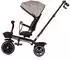 Chipolino Max Sport Dreirad 2-in-1, umkehrbarer Sitz, Sonnendach