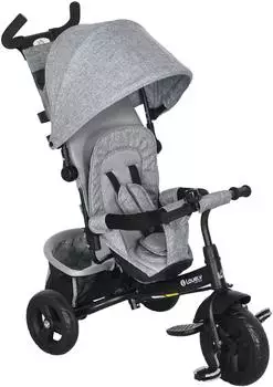 HomCom Dreirad 6-in-1 mit Schubstange und abnehmbarem Sonnendach