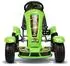 Lean Toys F618 Tretgokart mit Luftreifen, grün, 50kg (F618)